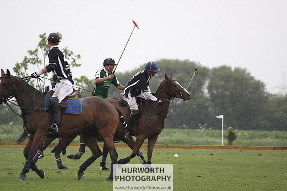 White Rose Polo 222