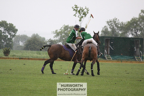 White Rose Polo 223