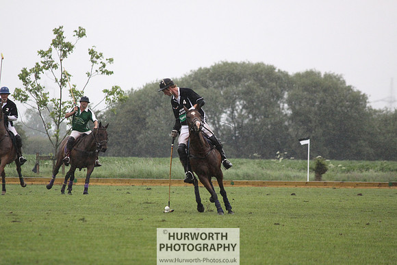 White Rose Polo 226