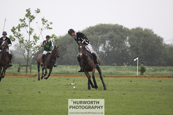 White Rose Polo 227
