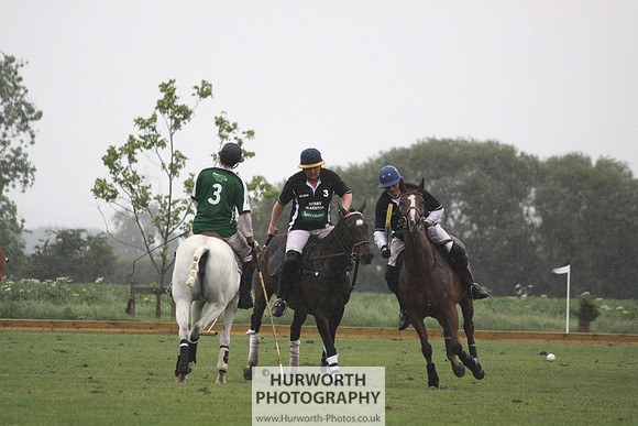 White Rose Polo 228