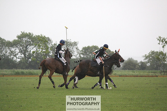 White Rose Polo 229