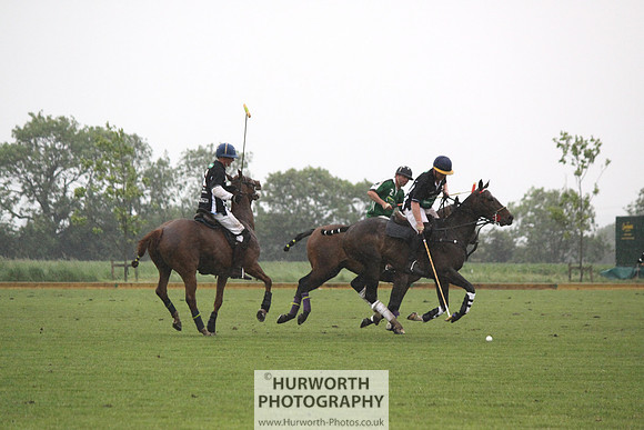 White Rose Polo 230