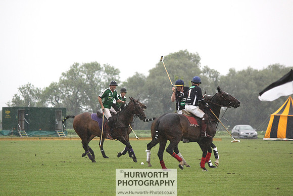 White Rose Polo 231