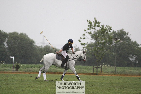 White Rose Polo 236