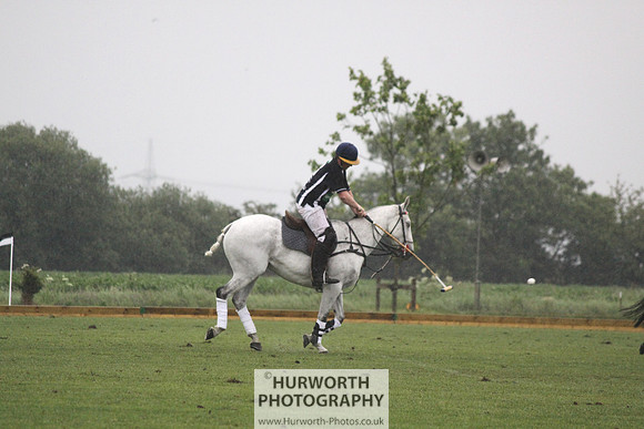 White Rose Polo 237