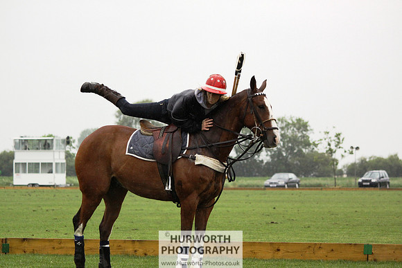 White Rose Polo 238
