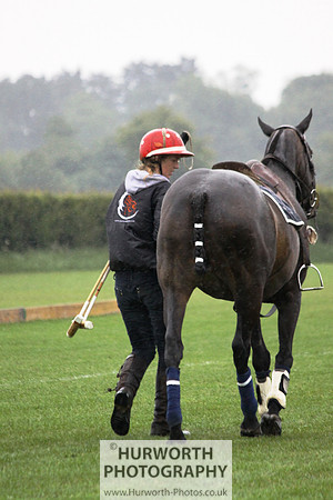 White Rose Polo 242