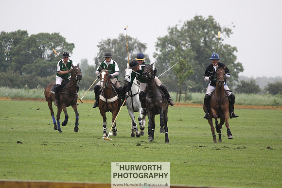 White Rose Polo 243