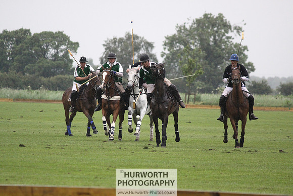 White Rose Polo 244