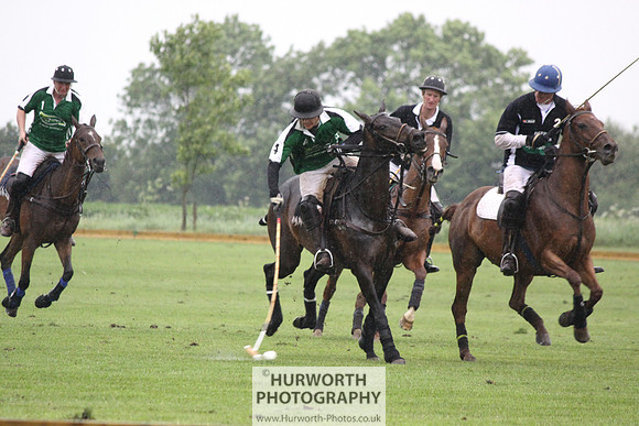 White Rose Polo 245