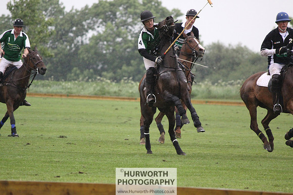 White Rose Polo 247