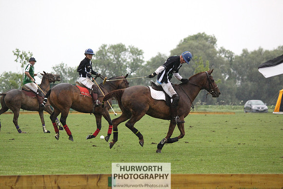 White Rose Polo 248