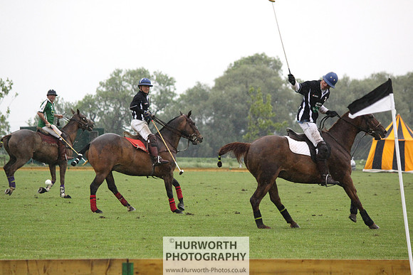 White Rose Polo 249