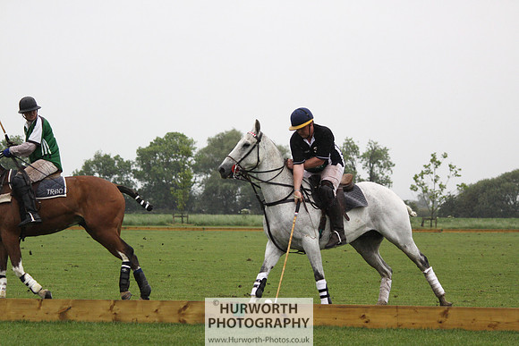 White Rose Polo 250
