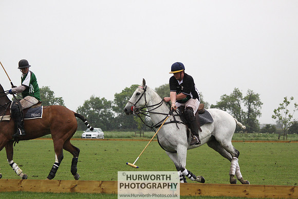 White Rose Polo 251