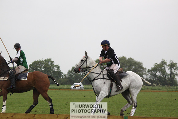 White Rose Polo 252