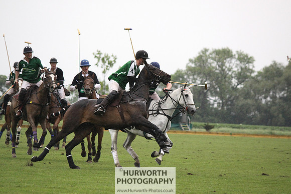White Rose Polo 256