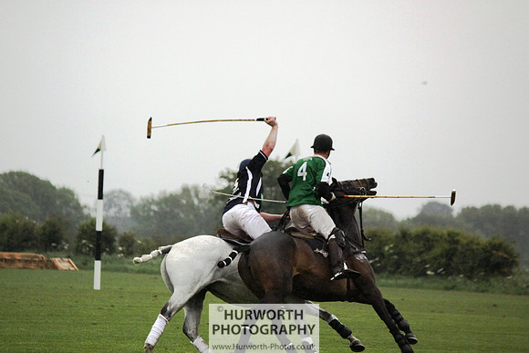 White Rose Polo 257