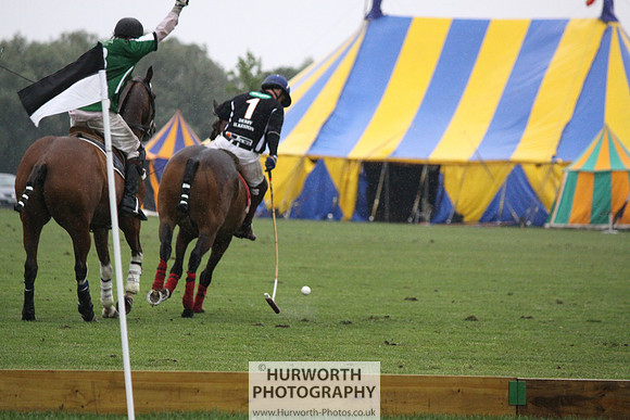 White Rose Polo 261