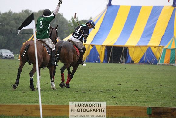 White Rose Polo 262