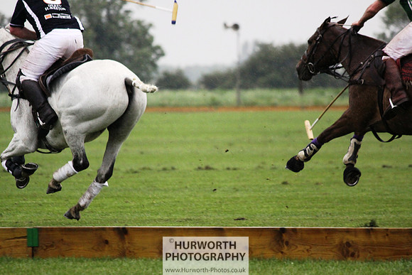 White Rose Polo 263