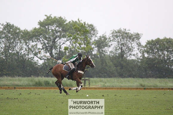 White Rose Polo 264