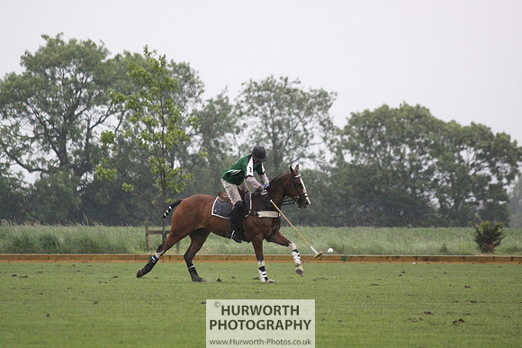 White Rose Polo 265