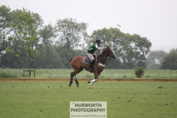 White Rose Polo 266