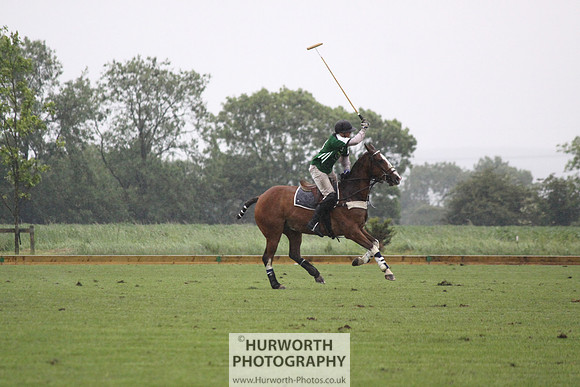 White Rose Polo 267