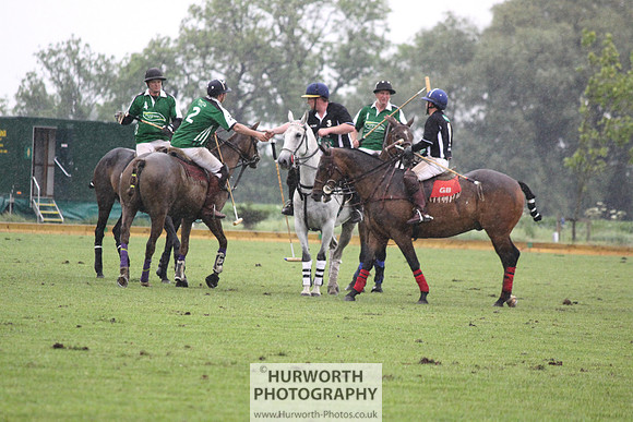White Rose Polo 268