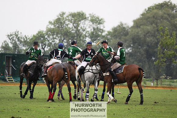 White Rose Polo 269