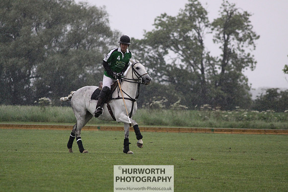 White Rose Polo 271