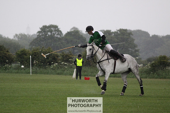 White Rose Polo 272