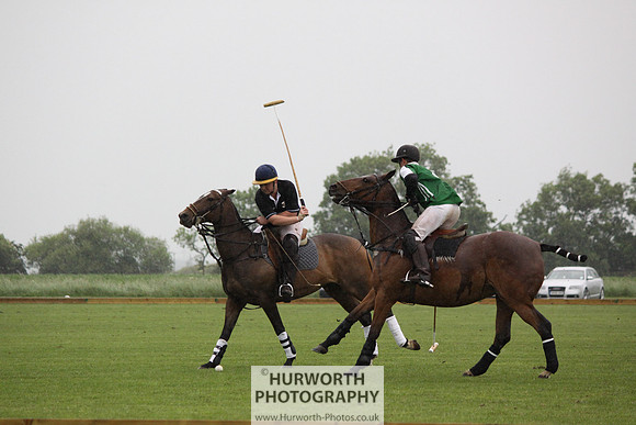 White Rose Polo 277