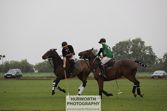 White Rose Polo 278