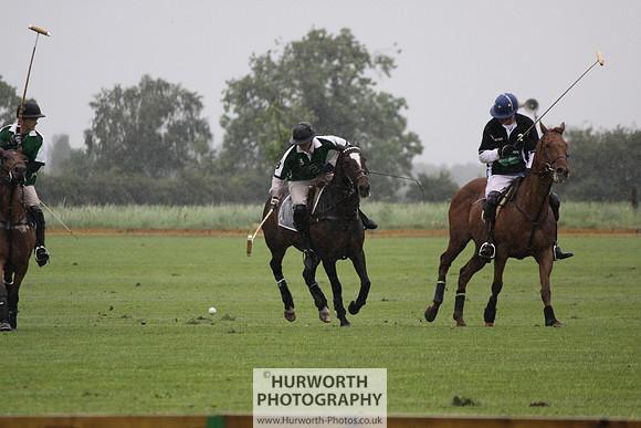 White Rose Polo 281