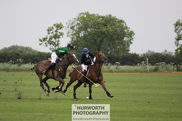 White Rose Polo 282