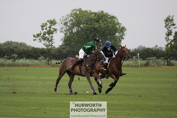 White Rose Polo 283