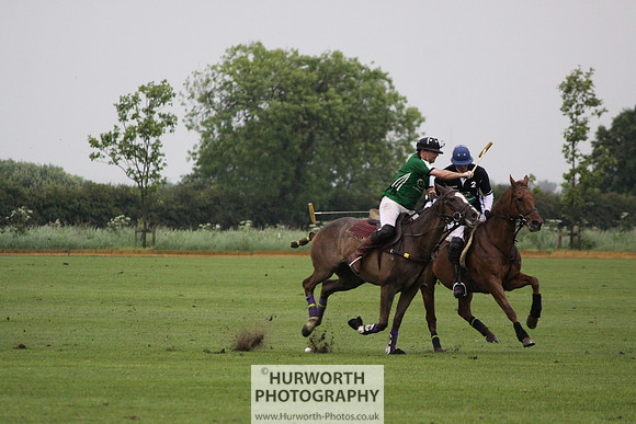 White Rose Polo 284