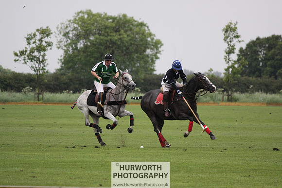 White Rose Polo 285