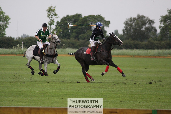 White Rose Polo 286