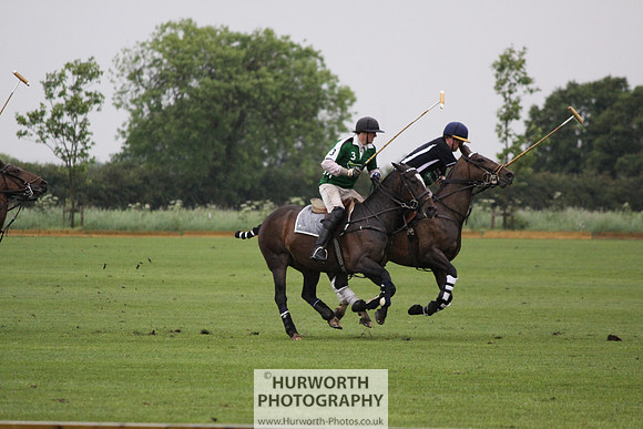 White Rose Polo 287