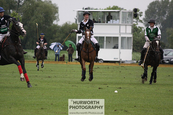 White Rose Polo 288