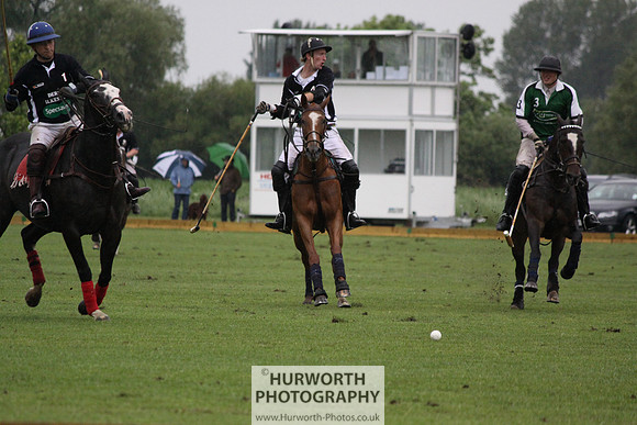White Rose Polo 289