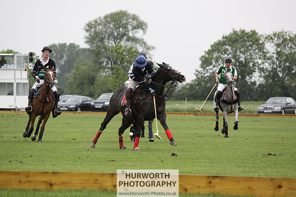 White Rose Polo 291