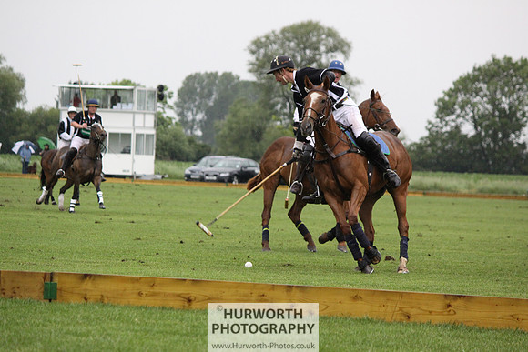 White Rose Polo 292