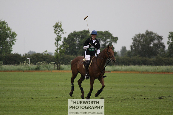 White Rose Polo 295
