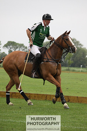 White Rose Polo 296