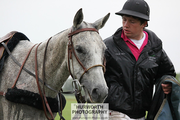 White Rose Polo 297